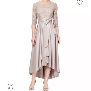 Mother of the Bride Dress — Champagne Midi Dress — Alex Evenings 8